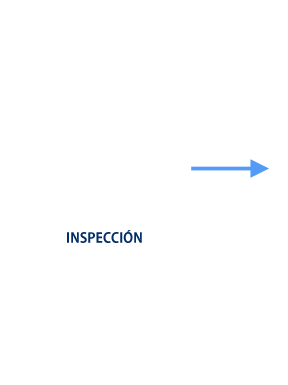 Inspección