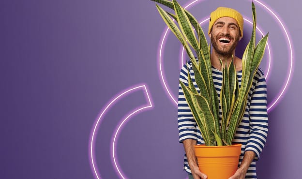 From the Ground Up: Building a Consumer Goods Business that Thrives on Profit with Sustainability Software