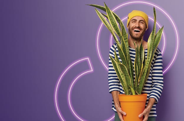 From the Ground Up: Building a Consumer Goods Business that Thrives on Profit with Sustainability Software