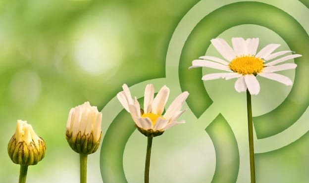 5 Signs of an Outdated PLM