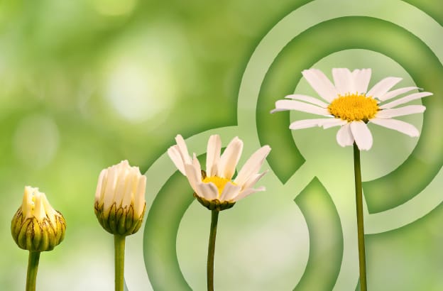 5 Signs of an Outdated PLM