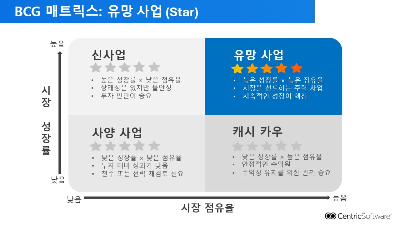 BCG 매트릭스: 유망 사업 (Star)​
