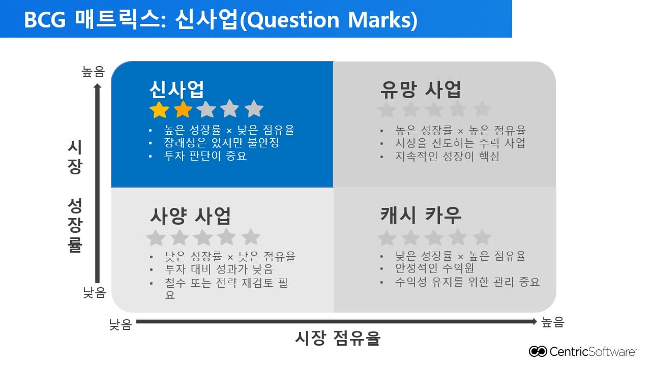 BCG 매트릭스: 신사업(Question Marks)​